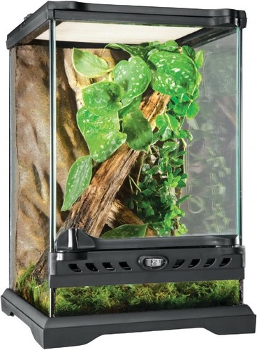 Terrarium verre reptile - terrarium,