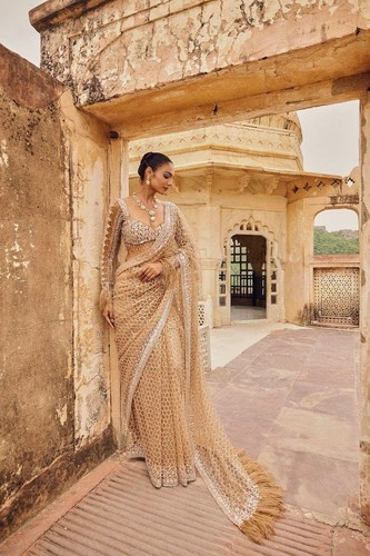 Saree party indian wear sari - saree,