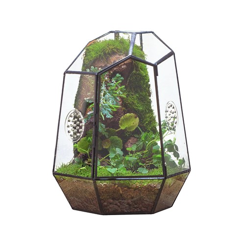 Ncyp geometric glass terrarium - ncyp,