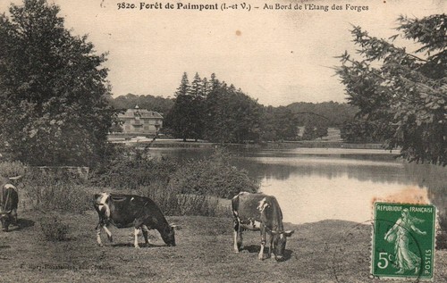 Cpa forêt de paimpont - cpa,