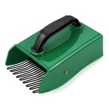 Peigne à Myrtilles, Fruits