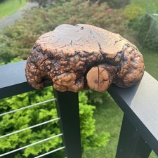 Vtg. Burl Wood Live Edge Jewelry Trinket Box Hidden Drawer Manzanita Wood 9"x6"