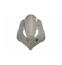 DUCATI PANIGALE 1100 V4 / R /