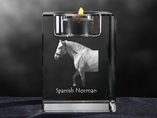 Cheval espagnol normand - cheval, espagnol-normand