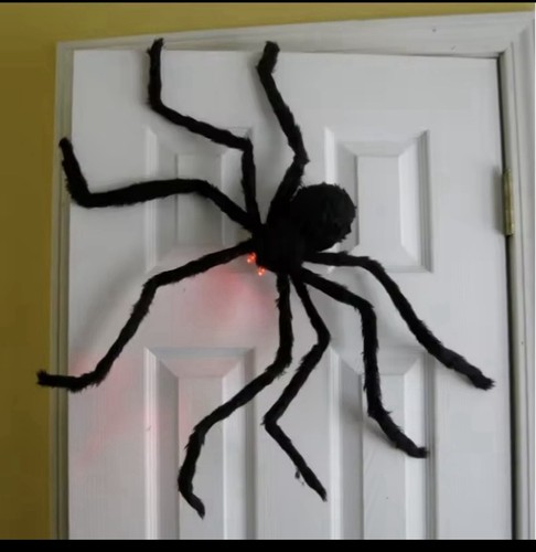 Décoration araignée