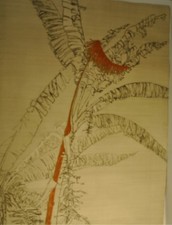 BALLIF: "Bananier" Original Aquatint Etching with carborundum by Yannick Ballif