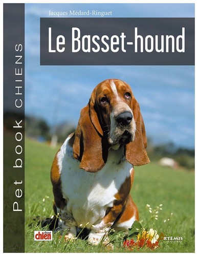 Basset hound - le, basset-hound