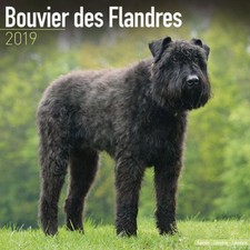 Calendrier 2019 - BOUVIER DES