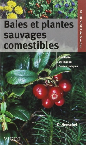 Baies plantes sauvages - baies, et