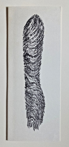 Carton invitation vernissage - carton,