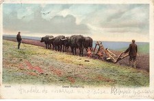 AGRICULTURE AO#AL000559 ENGLISH PLOW BEEF HITCH HARROW