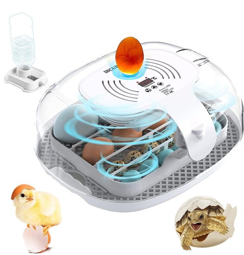 Incubateur œufs poule 16 - incubateur,