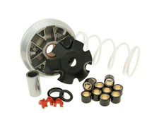 Variateur MALOSSI Multivar