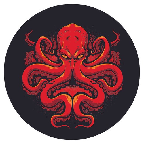 Poulpe pieuvre octopus marine - poulpe,