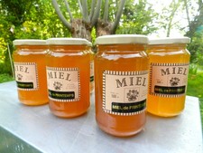 Miel de printemps les abeilles