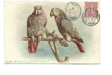 ILLUSTRATION - COUPLE DE