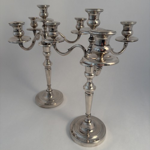 Paire chandelier branches - chandelier,