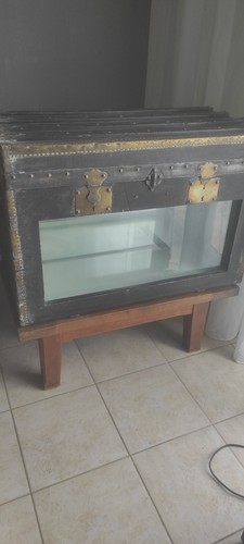 Aquarium dans malle ancienne - dans,