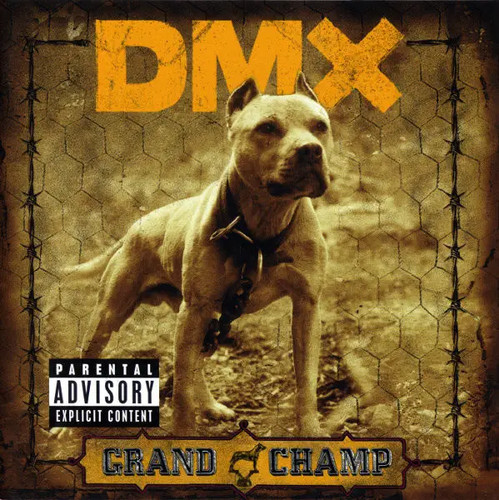 Dvd dmx grand - dvd, champ