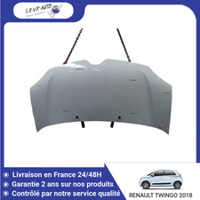 🇫🇷 CAPOT RENAULT TWINGO ➤651006821R ♻️