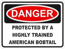 Américain Bobtail Chat Danger