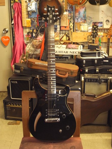 Paul reed smith - paul, se
