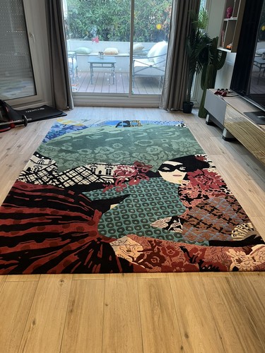 Tapis roche bobois - tapis,