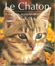 Le chaton : D'avant sa