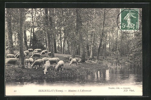 Cpa seignelay moutons à - cpa,