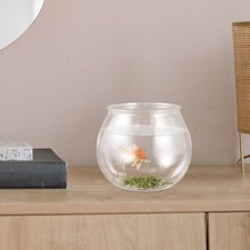  Terrarium Jar Clear Fish Bowl