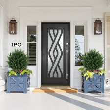 Buis topiaire en boule avec