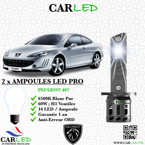Kit ampoule led peugeot - ampoule, 407