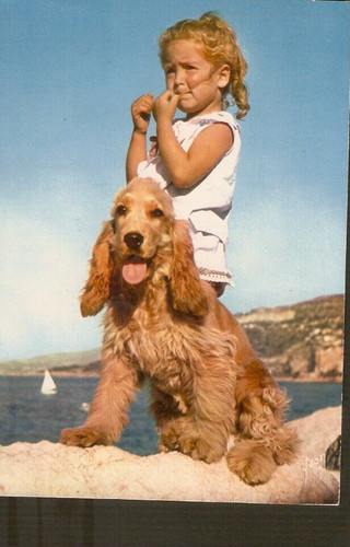 Chiens carte postale - ,