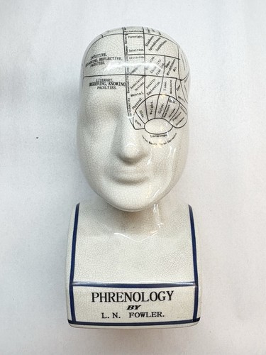Phrenology head bust - head, l.n