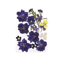 Collection de fleurs séchées