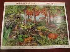 US Northeast Deciduous Forest  MNH Nature Stamp Sheet