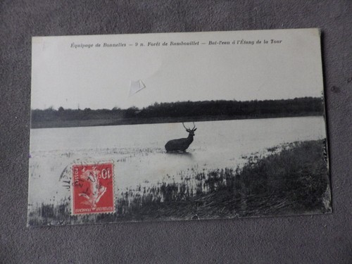 Cpa chasse courre - chasse, en
