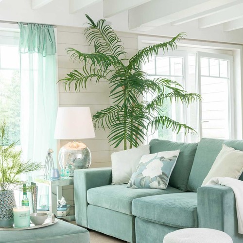Plante artificielle palmier - plante,