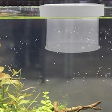  Boite Élevage Poisson Accessoires Aquarium Séparateur D'aquarium De