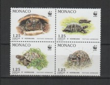 Monaco 1991 tortue d'Hermann