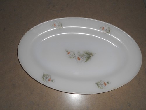 Arcopal grand plat - plat, creux