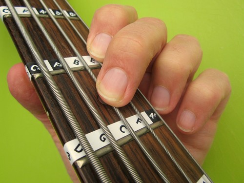 String guitare basse manche - guitare,