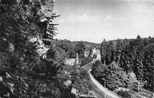 61 BAGNOLES DE L ORNE ROCK AU CHIEN