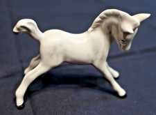 cheval poulain  blanc EN