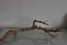 Vivarium, Exo Terra Forêt Branche Grand Environ 61 x 30 x 17 CM A Reptile Arbre