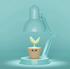 Mini lampe plante –