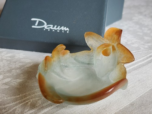 Daum orchidées pate - orchidÉes,