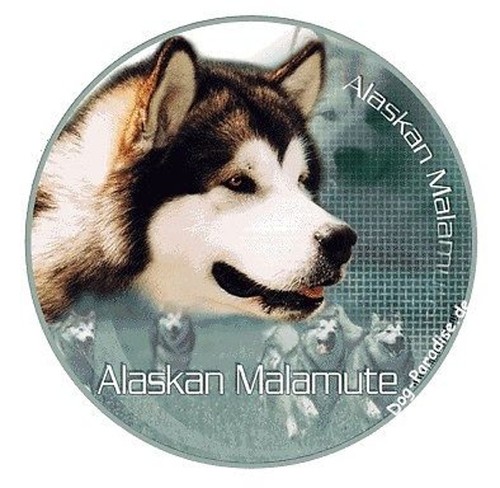 Autocollants design motif - design,