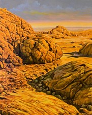 Paysage Désertique /