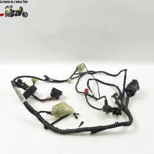 Faisceau électrique Honda 125